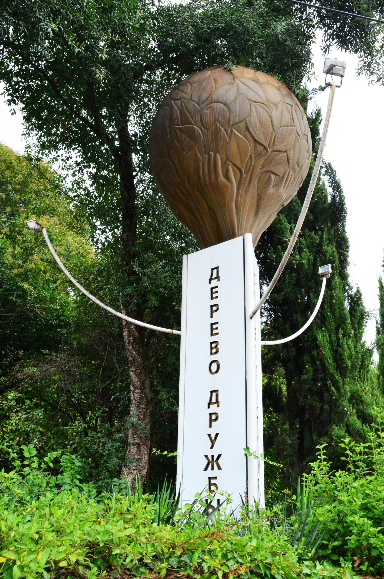 Анна Герман Дерево Дружбы... - «Дерева Дружбы» в одноимённом саду-музее города Сочи